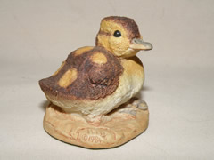 210-553 Quack