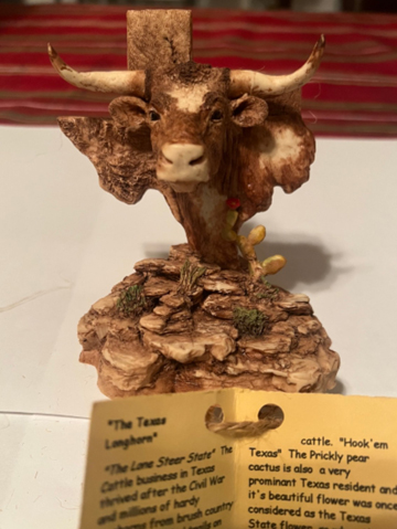 Texas Longhorn 1996